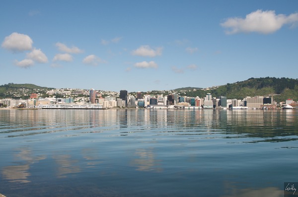 New Zealand 09 10  145